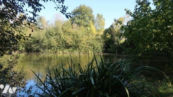 TERVAL, SUR PLUS DE 3 HECTARES, MAISON DE CAMPAGNE COMPRENANT UN PLAN D'EAU, UN BOIS ET UNE PRAIRIE.