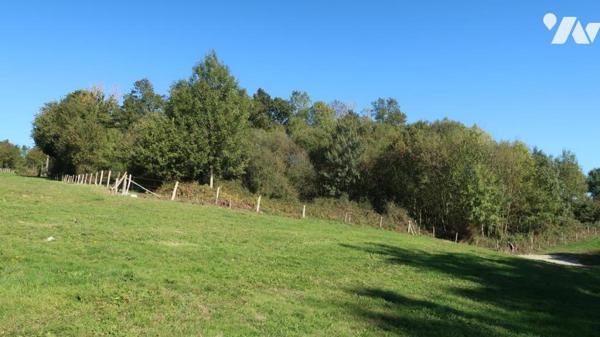 TERVAL, SUR PLUS DE 3 HECTARES, MAISON DE CAMPAGNE COMPRENANT UN PLAN D'EAU, UN BOIS ET UNE PRAIRIE.