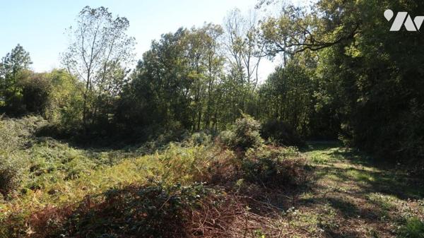 TERVAL, SUR PLUS DE 3 HECTARES, MAISON DE CAMPAGNE COMPRENANT UN PLAN D'EAU, UN BOIS ET UNE PRAIRIE.