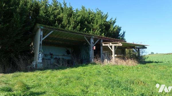 TERVAL, SUR PLUS DE 3 HECTARES, MAISON DE CAMPAGNE COMPRENANT UN PLAN D'EAU, UN BOIS ET UNE PRAIRIE.