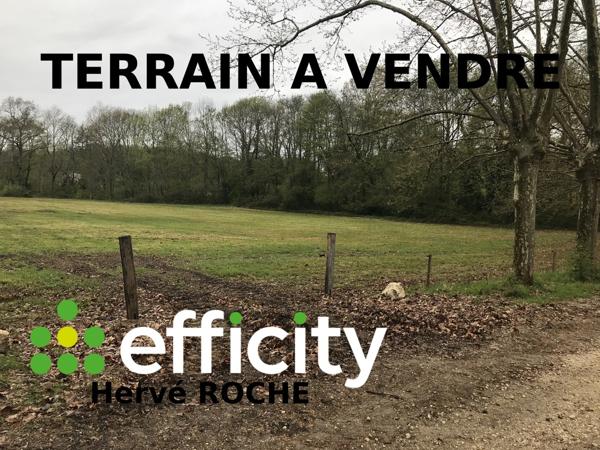 Terrain - 700 m²
