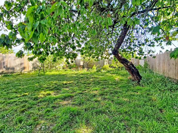Maison Doue En Anjou 4 pièce(s) 82 m2