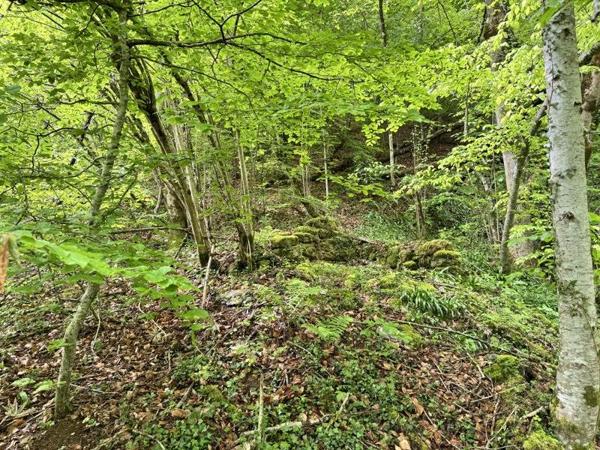 Terrain à vendre |  Aulus-les-Bains |  13466 m²