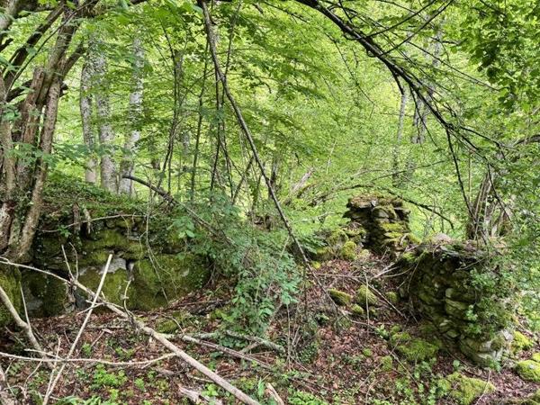 Terrain à vendre |  Aulus-les-Bains |  13466 m²