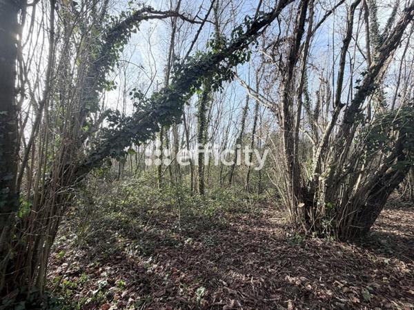 Maison 7 pièces - 252 m²