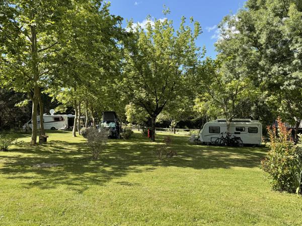 Commerce à vendre à Castelnau d'Auzan Labarrère (32440) - Gers
