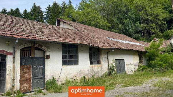 OPPORTUNITÉ INDUSTRIELLE - SITE DE RECONVERSION - 90200 LEPUIX