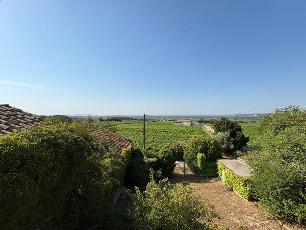 Maison Châteauneuf Du Pape 9 pièces - 190 m2 environ - Grange - Garage - Vue dégagée sur les vignes