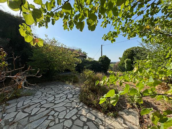 Maison Châteauneuf Du Pape 9 pièces - 190 m2 environ - Grange - Garage - Vue dégagée sur les vignes