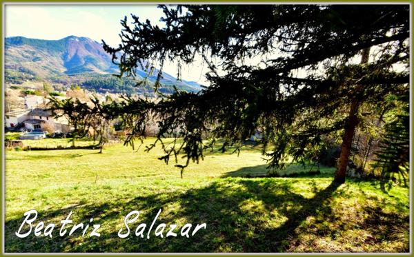 A vendre à Digne-les-Bains très beau terrain à construire de 805 m2, une très belle exposition, une très belle vue