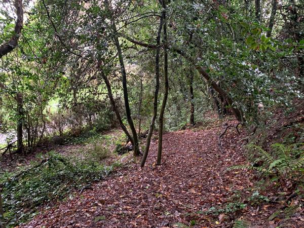 Terrain Saint Jean De Boiseau 1 531 m2