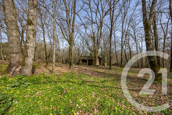 Maison à vendre  6 pièces - 133 m2 LISLE SUR TARN - 81