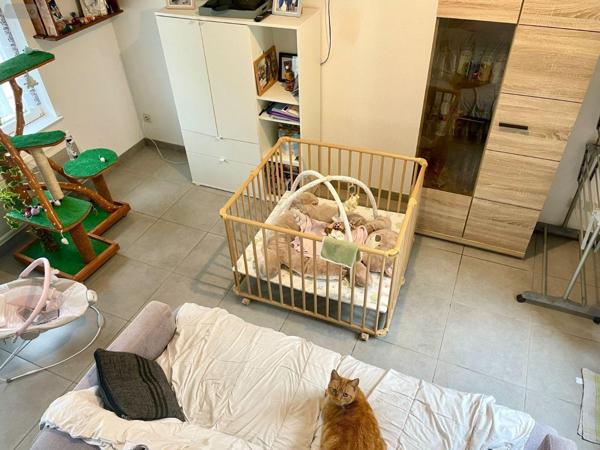 Maison à vendre à Rethel dans les Ardennes (08300), ref : 08018-MAIS-2199