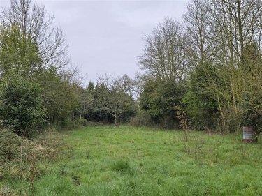 Terrain de loisirs - Bois - Etang à vendre à Saint-Brice en Mayenne (53290), ref : 53039-361