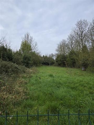 Terrain de loisirs - Bois - Etang à vendre à Saint-Brice en Mayenne (53290), ref : 53039-361