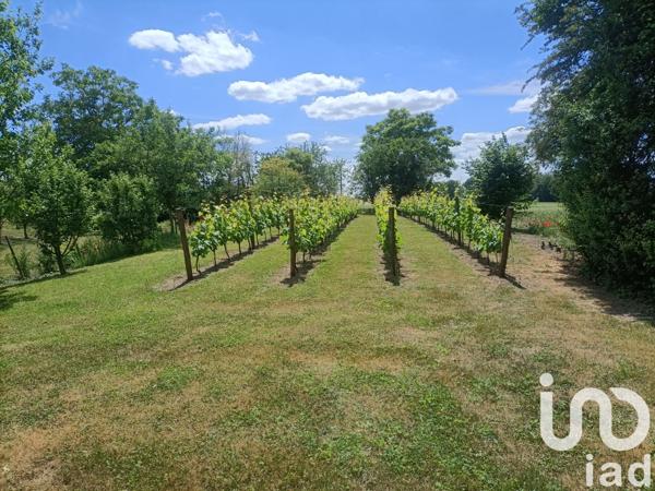 Maison à vendre 7 pièces 295 m² Doué-en-Anjou