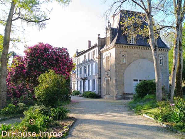 Château à vendre 23 pièces de 693 m²