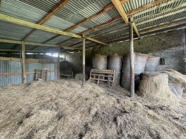 Corps de ferme sur 3 hectares – Maison, granges et hangar au cœur de la nature