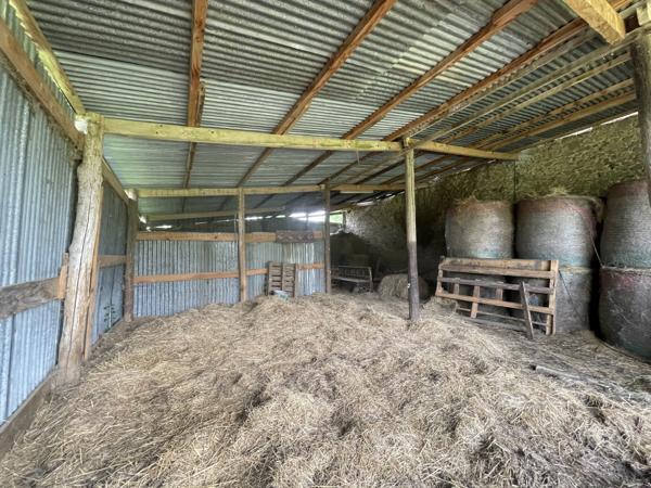 Corps de ferme sur 3 hectares – Maison, granges et hangar au cœur de la nature