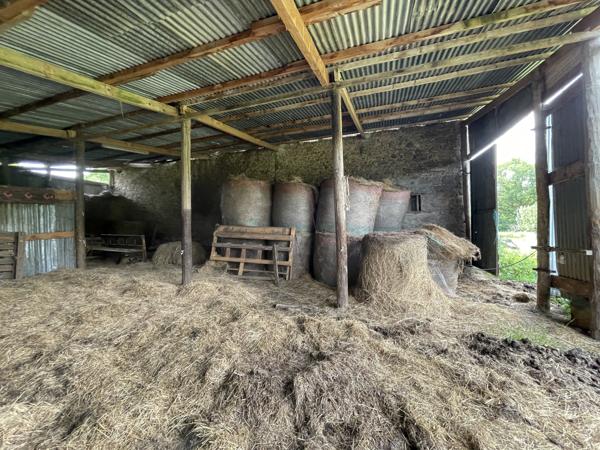 Corps de ferme sur 3 hectares – Maison, granges et hangar au cœur de la nature