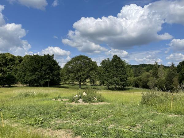 Corps de ferme sur 3 hectares – Maison, granges et hangar au cœur de la nature
