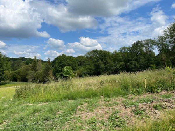 Corps de ferme sur 3 hectares – Maison, granges et hangar au cœur de la nature