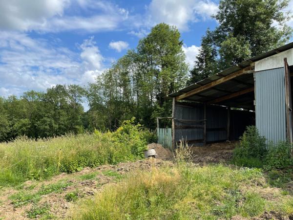 Corps de ferme sur 3 hectares – Maison, granges et hangar au cœur de la nature