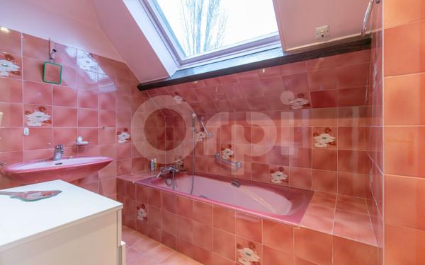 Maison à vendre    7 pièces • 188 m2 Bry-sur-Marne