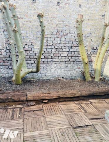 TOURCOIG CENTRE VILLE.
Semi-bourgeoise 125 M².
4 chambres et grande salle de bains