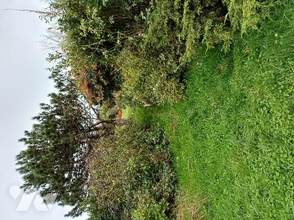 A EQUIHEN PLAGE, Maison 3 chambres sur 559 m² de terrain proche commodités et plage.