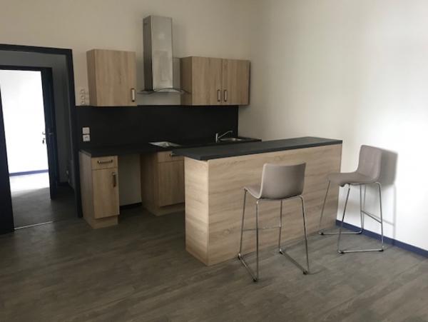 Location Appartement 1 pièce Issoudun (36100) - Rue aux lièvres