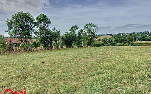 Terrain à vendre    Blomard