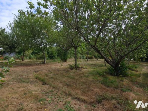 Charme de l'ancien pour cette bâtisse avec 4 chambres + maison à réhabiliter + dépendance