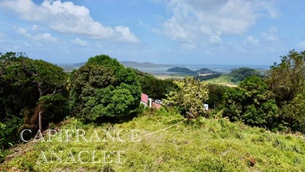 Terrain à vendre LA TRINITE (97220) grand terrain de 4525 m² avec vue mer !