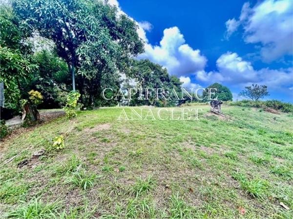 Terrain à vendre LA TRINITE (97220) grand terrain de 4525 m² avec vue mer !