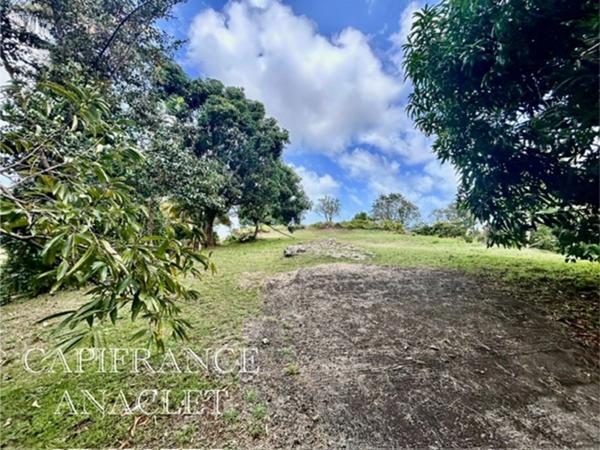 Terrain à vendre LA TRINITE (97220) grand terrain de 4525 m² avec vue mer !