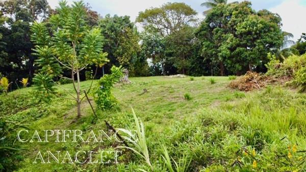 Terrain à vendre LA TRINITE (97220) grand terrain de 4525 m² avec vue mer !