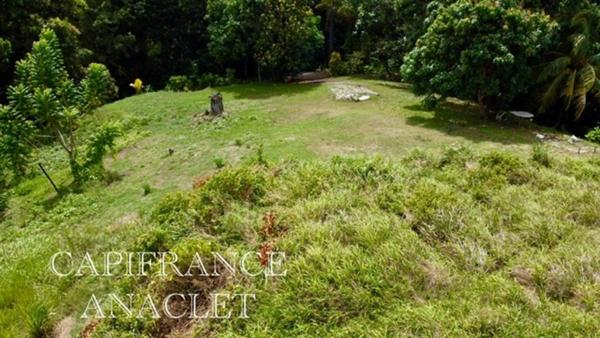 Terrain à vendre LA TRINITE (97220) grand terrain de 4525 m² avec vue mer !