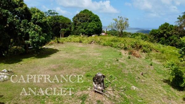 Terrain à vendre LA TRINITE (97220) grand terrain de 4525 m² avec vue mer !