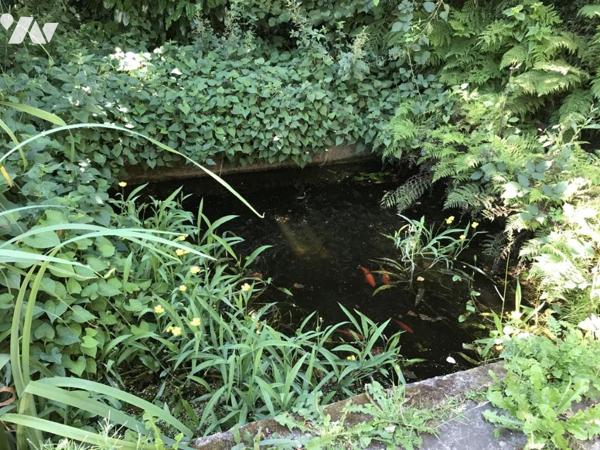 A VENDRE BAUD Campagne propriété de caractère avec dépendances - AU CALME