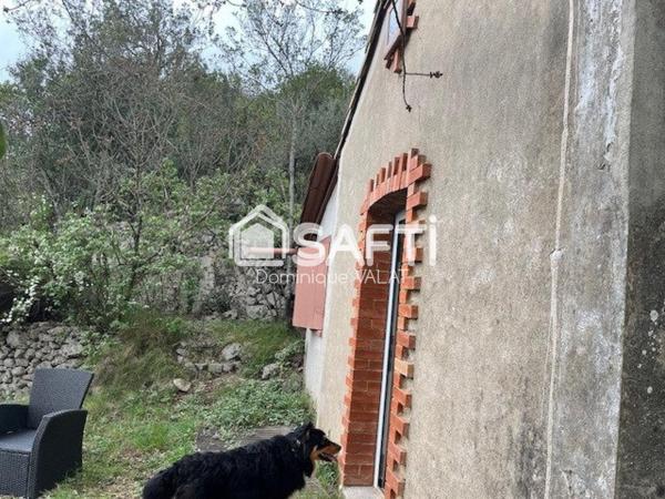 Coeur de nature à 2 pas du coeur de cité