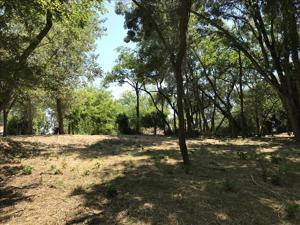 Terrain à vendre | La Brée-les-Bains | 1113 m²