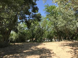 Terrain à vendre | La Brée-les-Bains | 1113 m²