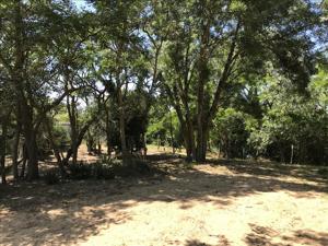 Terrain à vendre | La Brée-les-Bains | 1113 m²