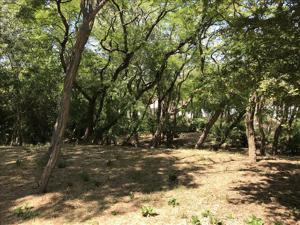 Terrain à vendre | La Brée-les-Bains | 1113 m²