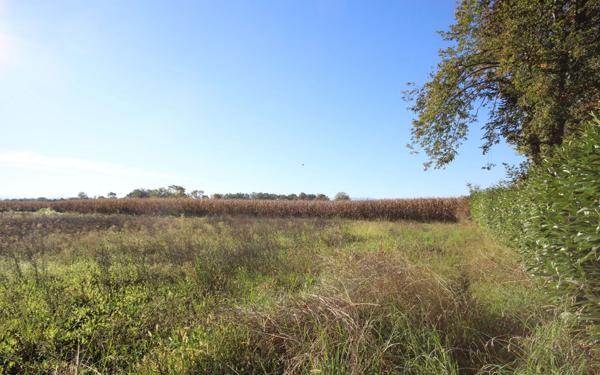 Terrain à vendre    Uzein