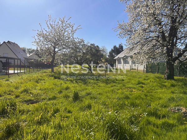 Les essarts - terrain à batir - premium - plat -