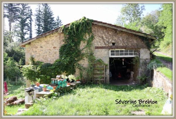 🏡 Maison en pierre de 166 m² avec ancien moulin et terrain de 1,8 hectare à Saint-Rémy-sur-Durolle