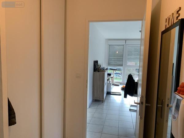 Appartement à louer à Hénin-Beaumont dans le Pas-de-Calais (62110), ref : 62135-L1116