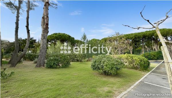 Appartement 1 pièce - 26 m²